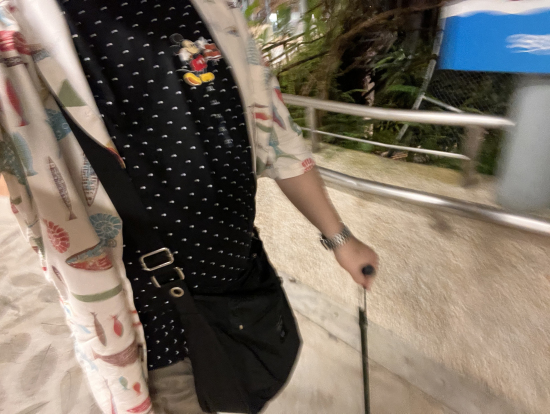 杖をついた方でもゆっくり登ってました