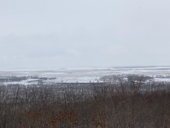 細岡展望台からの景色