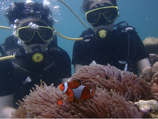 イソギンチャクとかわいいニモ♪