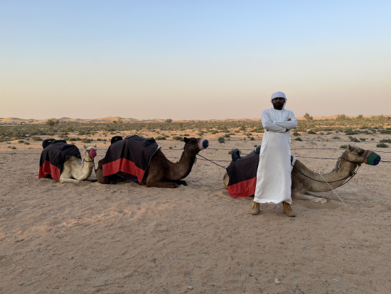 このラクダに乗って夕陽を眺めました
