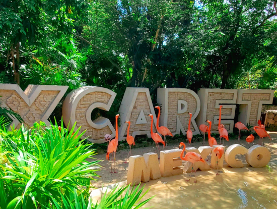 所々に【Xcaret 】 スポット
