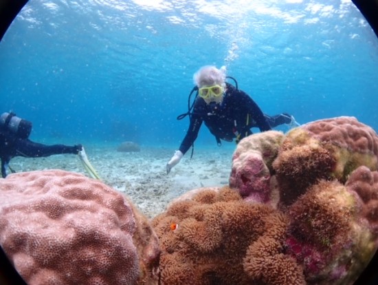 抜群の透明度でカクレクマノミなど熱帯魚もたくさん