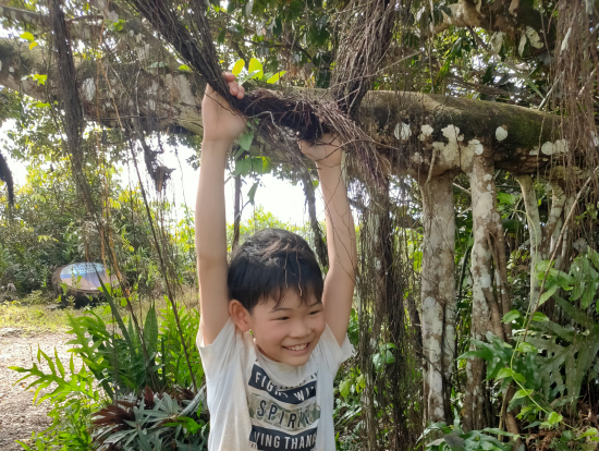 神聖な木でぶーらぶら