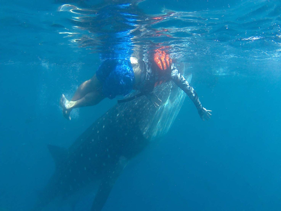 スタッフさんに撮影してもらったものです