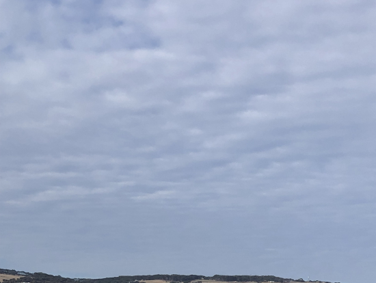 フェリーから見たカンガルー島です。