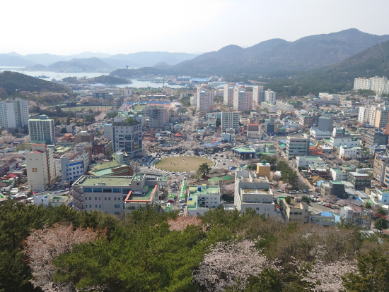 ケーブルカーのようなモノレールで山頂まで登れます