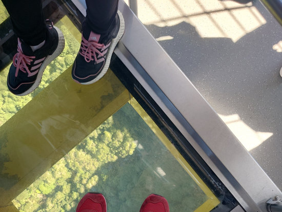 シーニックワールド(スカイウェイ)足元シースルー!