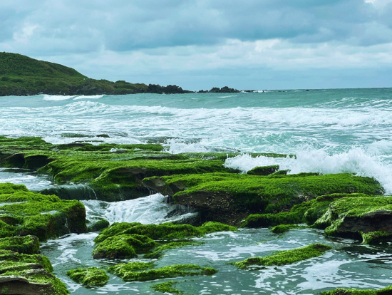 満潮で、曇りでしたが荒々しい海も素敵でした。—— 老梅石槽