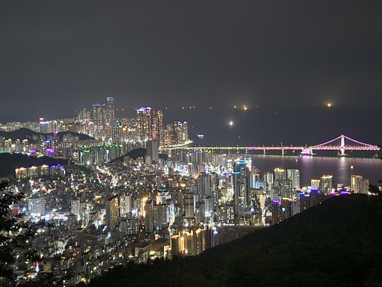 荒嶺山からの夜景