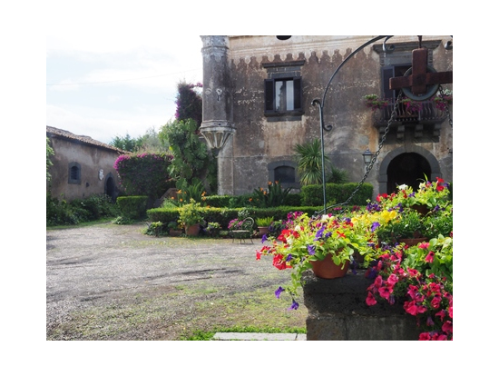 マイケルが崩れ落ちた椅子と井戸も健在です