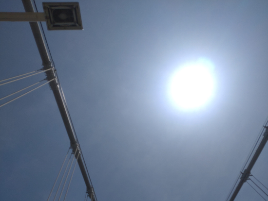 5月18日のはとバス