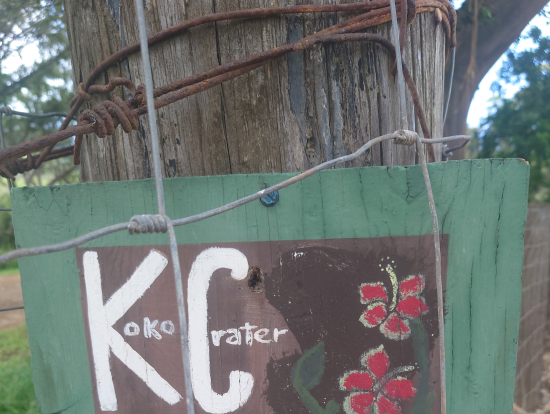 果樹園に向かう途中で寄ったプルメリアの花が咲き誇るガーデンで…