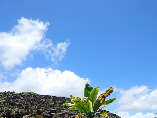 一日でこの土台を作り上げたというパワーチャージできたお城の跡。