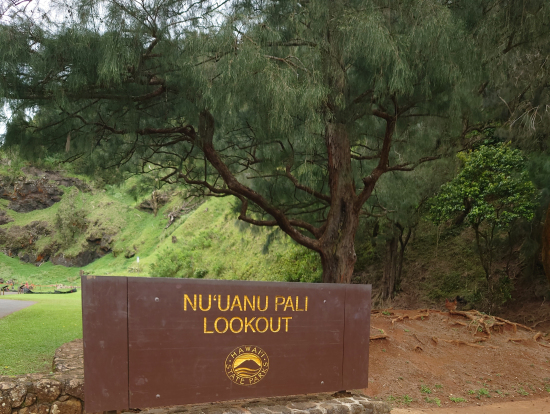 ルックアウトの崖の上