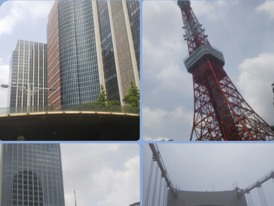 屋根無しはとバス。(^^)