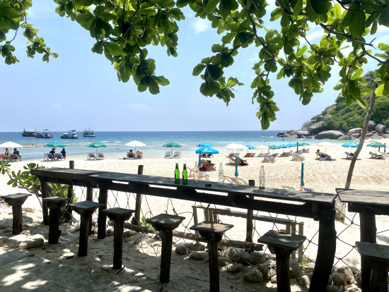 ショップ裏側の木陰休憩スペース