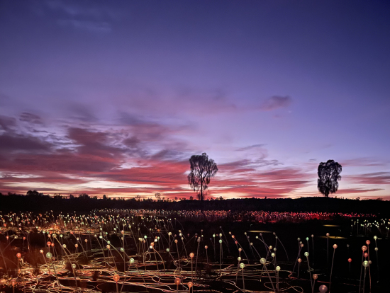 絵葉書みたいな写真が撮れます