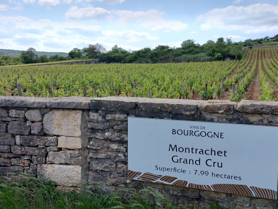 天気もよく最高でした!