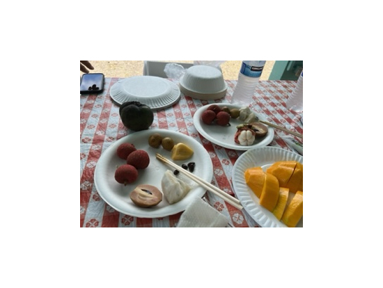 採れたてのアボガドや色々な果物。とてもジューシーで美味しかった