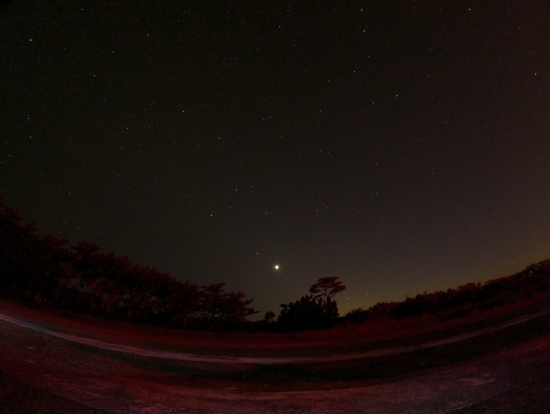 ひときわ輝く金星
