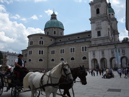 馬車で市内を巡回見学する事も出来ます