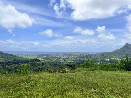 途中立ち寄ったレオさんおすすめの映えスポット!