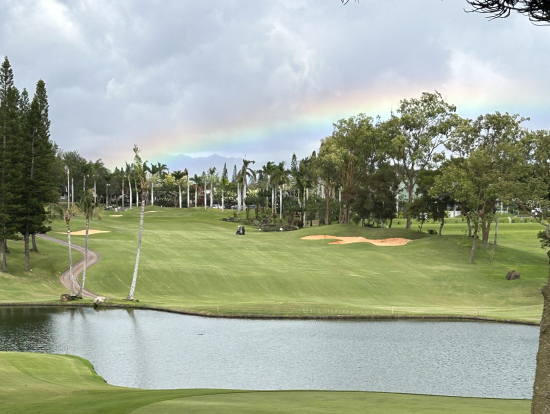 虹も見れました