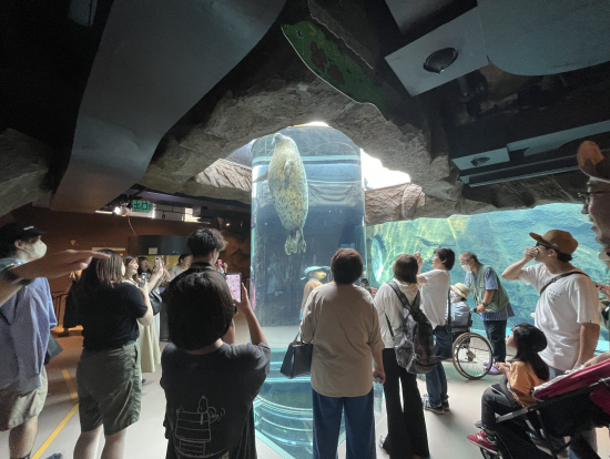 アザラシちゃん通ってくれてありがとう