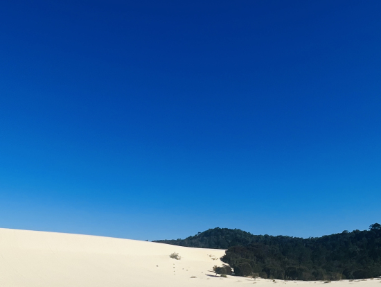 デザートサファリ