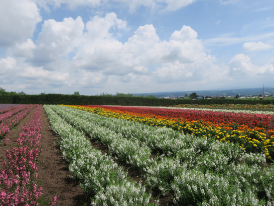 十勝連邦を望む絶景のスポット！