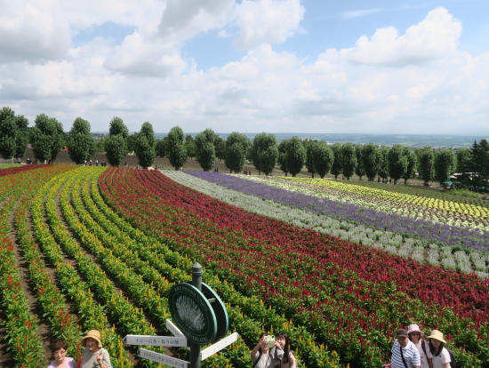 展望台からの眺めはサイコー！