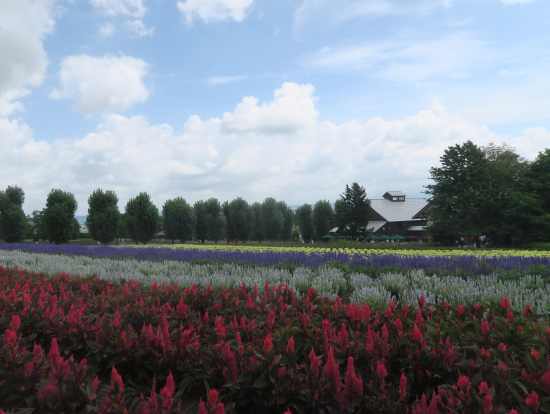 十勝の夏は癒しの場！