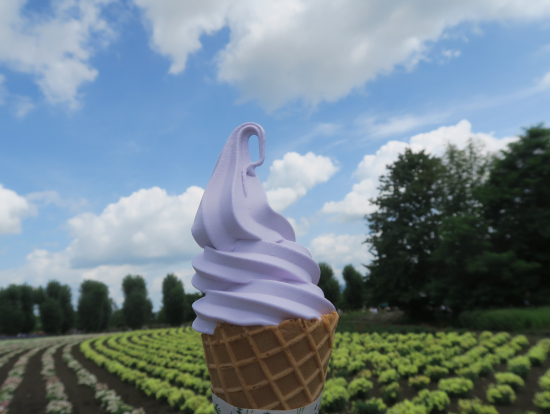 ラベンダー色のソフトは心も身体も幸せ色！