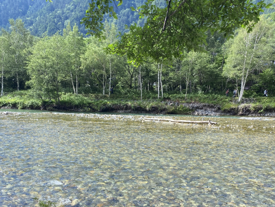 キレイな清流。