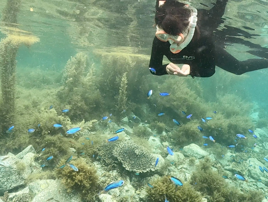 ずっと餌をあげながら、見てました。