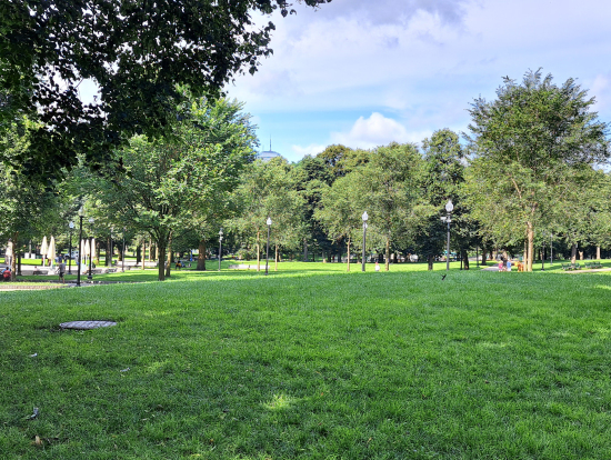 ボストンコモン