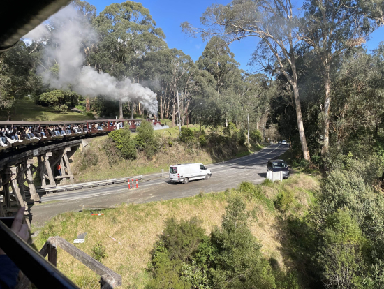 窓から足を出しています