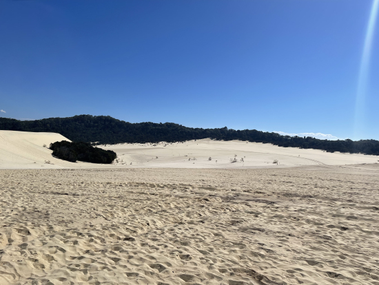 サンドトボガニングのため島の奥に車で移動。30分くらい。途中もかなりの揺れで一つのアトラクションです。