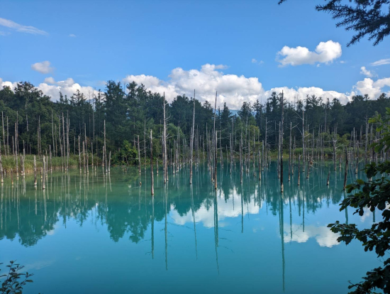 水面が鏡みたいでした