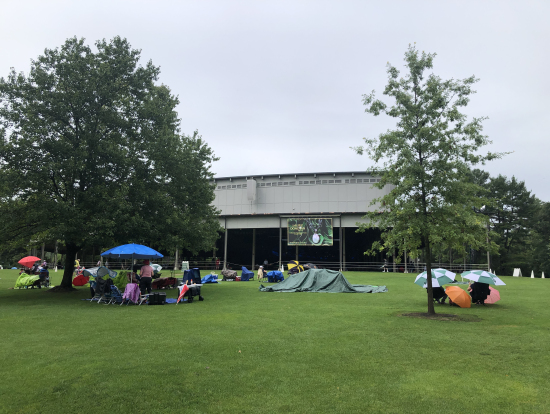 タングルウッドの芝生席