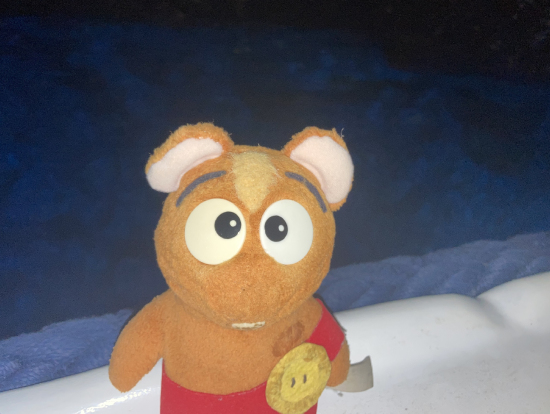 ぬいぐるみを写真にとれるほどに、青の洞窟内でゆったりできました。