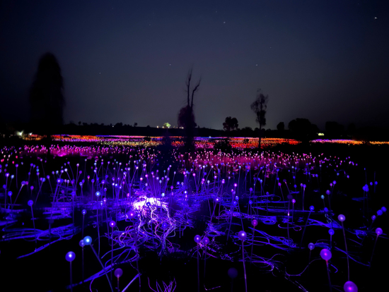 一面に広がる光の粒