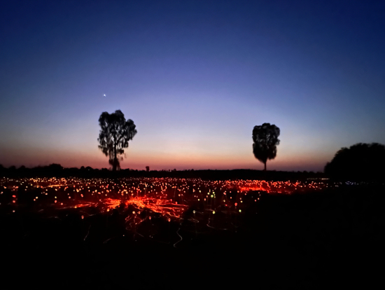 少しずつ明るくなっていく景色もきれい