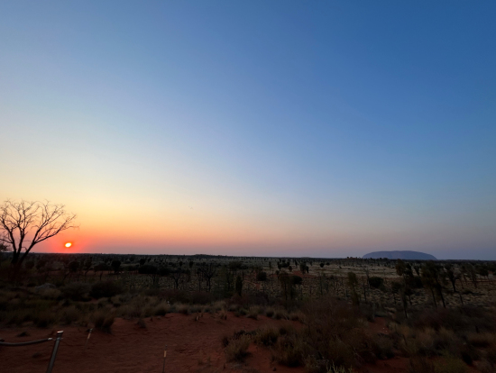 太陽とウルルを一度に見ることができます