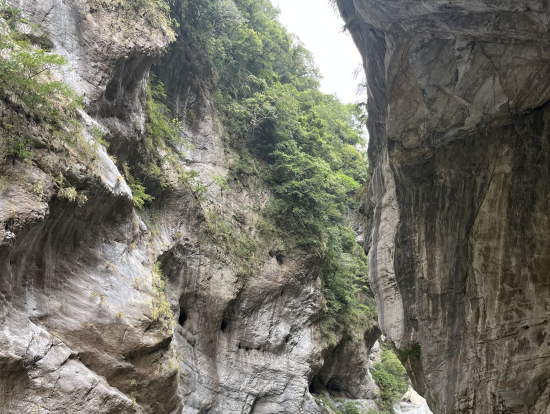 岩の穴に燕が巣を作るそうです。