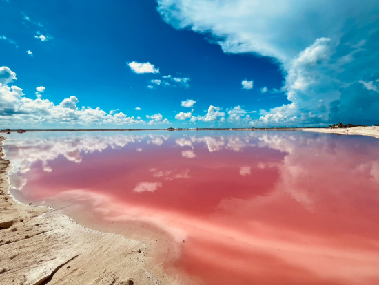 ピンクレイク(ガイドの小林さん撮影)