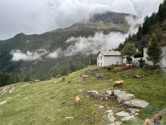 ベルニナ鉄道の景色