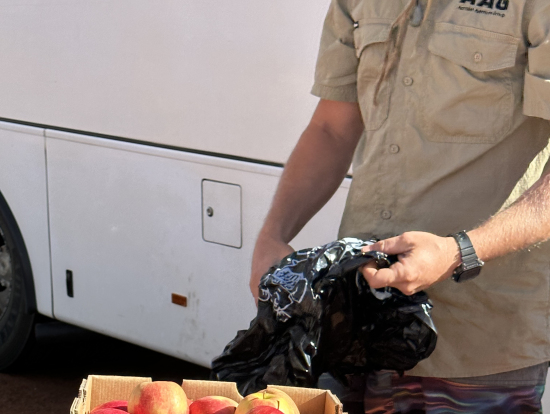 モーニングティー ガイドさんがいい人でした