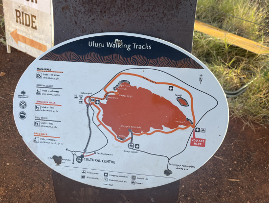 ここを歩きます