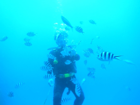 餌付け体験最高でした